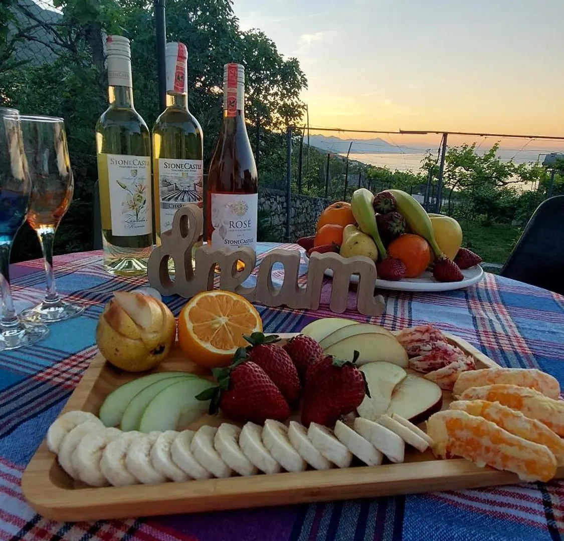 فندق R&R Gesthouse Široka 0*,  ألبانيا
